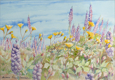 Lupine&DesertDaisies